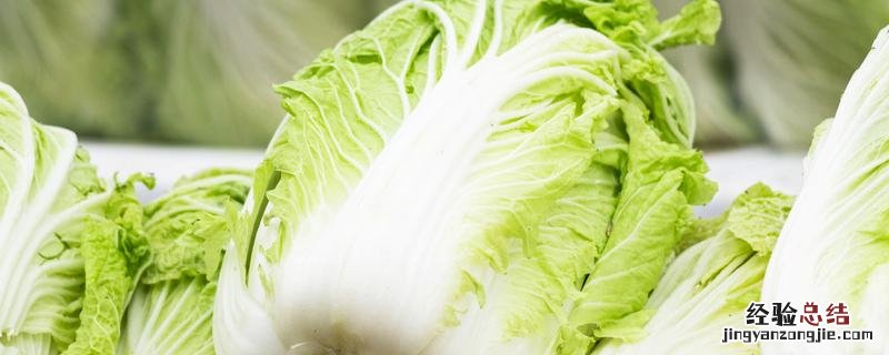 大白菜怎么种植,大白菜怎么种植方法