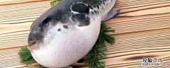 嘡啷是什么 鯸鲐是什么