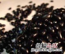 黑芸豆营养价值及功效 黑芸豆的营养价值