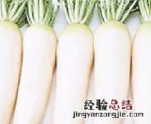 罗卜煮什么有营养 罗卜的营养价值与做法