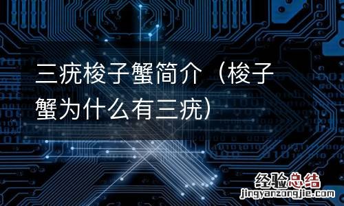 梭子蟹为什么有三疣 三疣梭子蟹简介