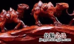 四大名木分别是什么 四大名木包括什么