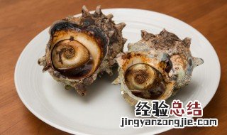 水煮海螺的做法 水煮海螺的做法大全