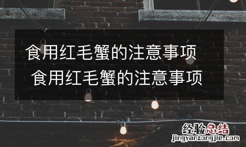 食用红毛蟹的注意事项 食用红毛蟹的注意事项是什么