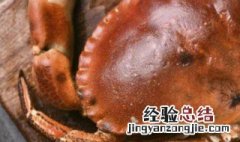 熟冻面包蟹蒸多长时间 熟冻面包蟹蒸多久