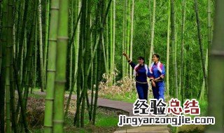 竹的文化寓意 竹的文化意象