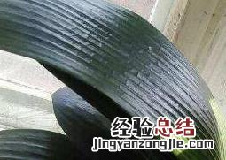 君子兰怎么养才能更旺盛 君子兰怎么养