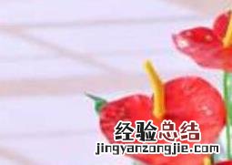 红掌怎么养 红掌怎么养花才红