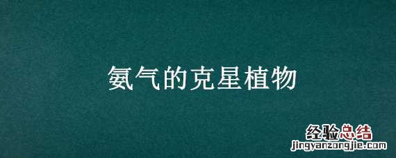 氨气的克星植物 氨气的克星植物是什么