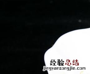 水萝卜的腌制方法 水萝卜的腌制方法视频