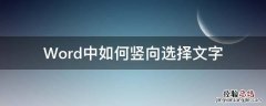 word怎么竖向选择文字 Word中如何竖向选择文字
