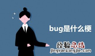 bug是什么梗 关于bug的介绍