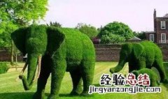欣赏和观赏的区别 欣赏和观赏的区别用法题