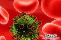 巨细胞病毒igg阳性 巨细胞病毒igg阳性是什么病