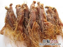 红参适合人群及其作用 红参的适用人群有哪些