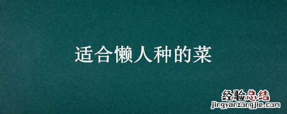适合懒人种的菜瓜 适合懒人种的菜
