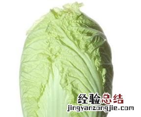 大白菜的营养价值 大白菜的营养价值有哪些