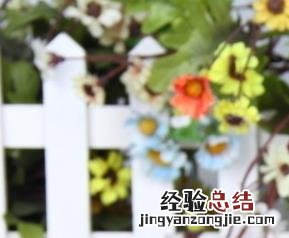 银耳怎么吃银耳 怎样吃银耳