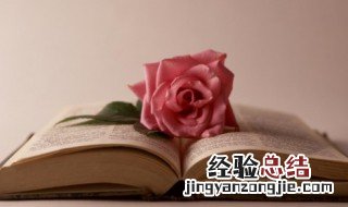 贼眉鼠眼的词语 贼眉鼠眼的成语解释