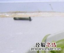 怎样用白萝卜做咸菜好吃 怎样用白萝卜做咸菜