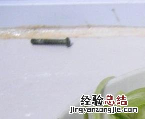 怎样用白萝卜做咸菜好吃 怎样用白萝卜做咸菜