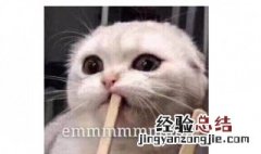 Emma什么意思 Emm什么意思