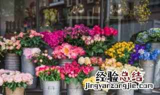 家中养扶桑花真的不吉利吗 家里养扶桑花不吉利吗