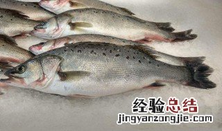 鲈鱼搭配什么蔬菜健康 鲈鱼搭配什么蔬菜营养