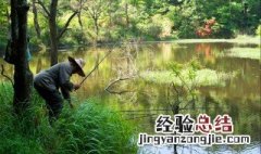 水草多怎么钓鱼 水草多的地方如何钓鱼