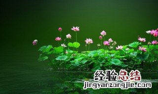 6月初6是什么日子佛家 6月初6是什么日子