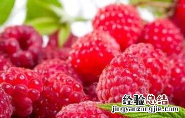 红树莓对女人的好处 红树莓对女人的好处是什么