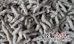 僵蚕的功效与作用 僵蚕的功效与作用图片