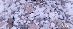 云母是什么形状 云母长什么样图片