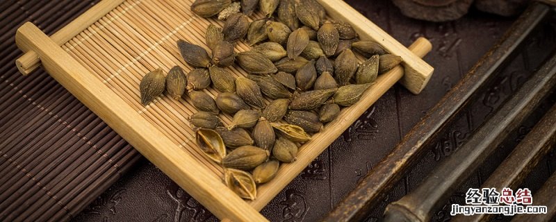 苍耳靠什么传播种子二年级 苍耳靠什么传播种子