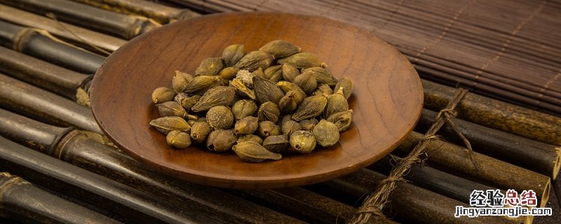 苍耳靠什么传播种子二年级 苍耳靠什么传播种子