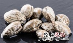冷冻蛤蜊肉的做法 冷冻蛤蜊肉的做法大全家常