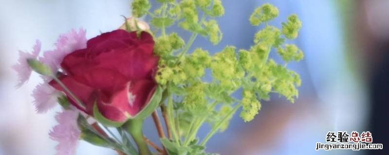 鲜花如何保养存活的时间长 鲜花怎么保管时间长