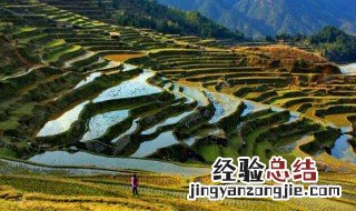 开垦梯田一般选择缓坡开垦陡坡容易造成什么现象? 梯田的分类和作用介绍