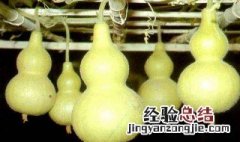 葫芦代表什么意思 七个葫芦代表什么意思