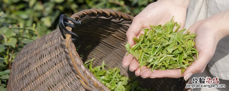 龙井茶产地排名 龙井茶产地