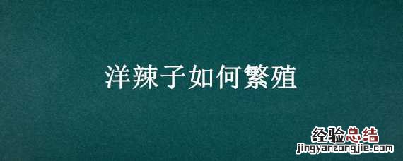 洋辣子如何繁殖和扦插 洋辣子如何繁殖