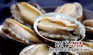清洗鲜鲍鱼小妙招 清洗保存鲍鱼的小窍门