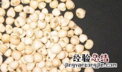 川贝母的功效与作用 川贝母有什么作用呢