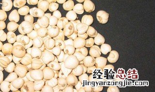 川贝母的功效与作用 川贝母有什么作用呢