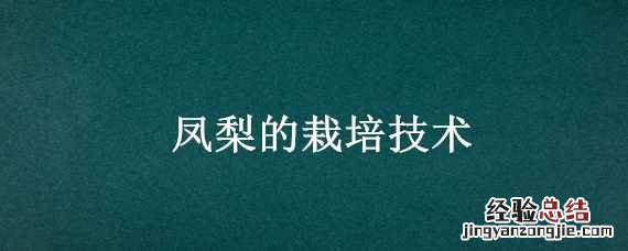 凤梨的栽培技术和管理 凤梨的栽培技术