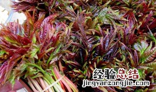 吃香椿的禁忌 吃香椿的禁忌香椿不能和什么一起吃