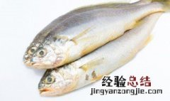 鱼炖什么 鱼炖什么好吃又营养
