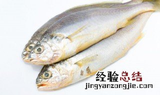 鱼炖什么 鱼炖什么好吃又营养