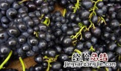 黑色食物都包括什么 黑色食物都包括哪些