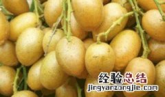 蜂蜜泡黄皮干的制作办法 蜂蜜泡黄皮干怎么制作